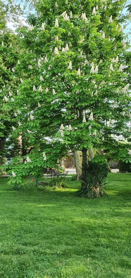 B&B Le Domaine Des Marcoujans Saint-Elix-le-Chateau ภายนอก รูปภาพ